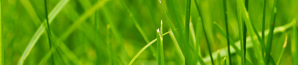 自动化工作流的软件云呼